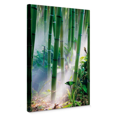Leinwandbild Bamboo Forest