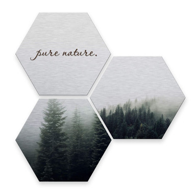 Hexagon - Alu-Dibond-Silbereffekt - Pure Nature Wald (3er Set)