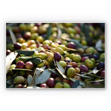 Wandbild Mediterrane Oliven