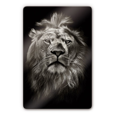 Glasbild Lion
