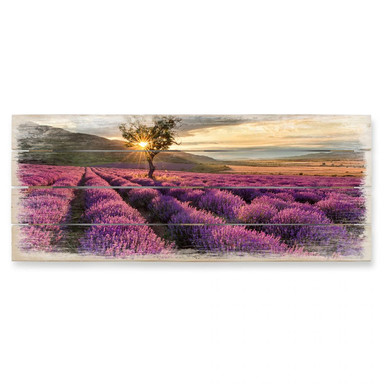 Holzbild Lavendeblüte in der Provence 01 - Panorama