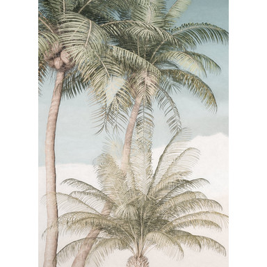 Fototapete Palm Oasis