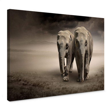 Leinwandbild Die Elefanten