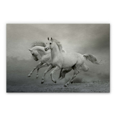 Alu-Dibond Bild Pferde im Galopp