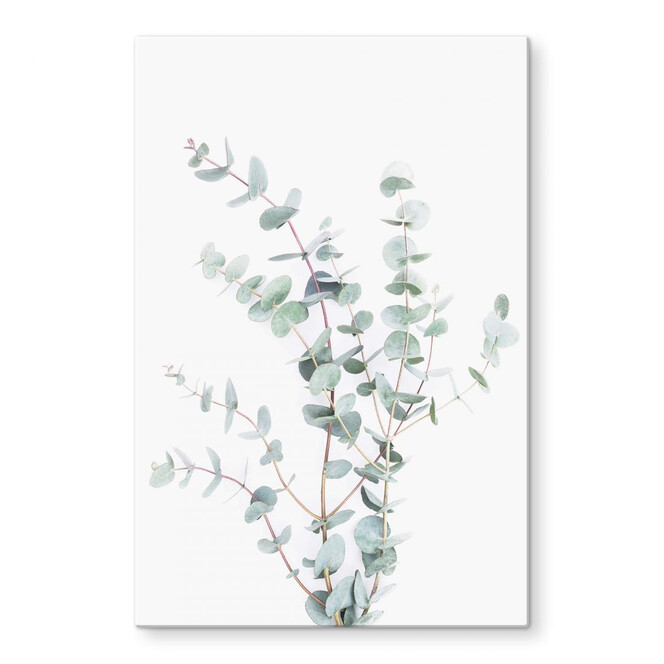 Glasbild Sisi & Seb - Eukalyptuszweig