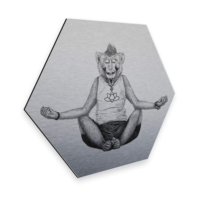 Hexagon - Alu-Dibond Silbereffekt Kools - Monkey Yoga