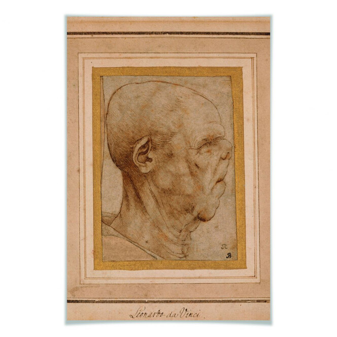 Poster da Vinci - Karikatur eines Männerkopfes im Profil