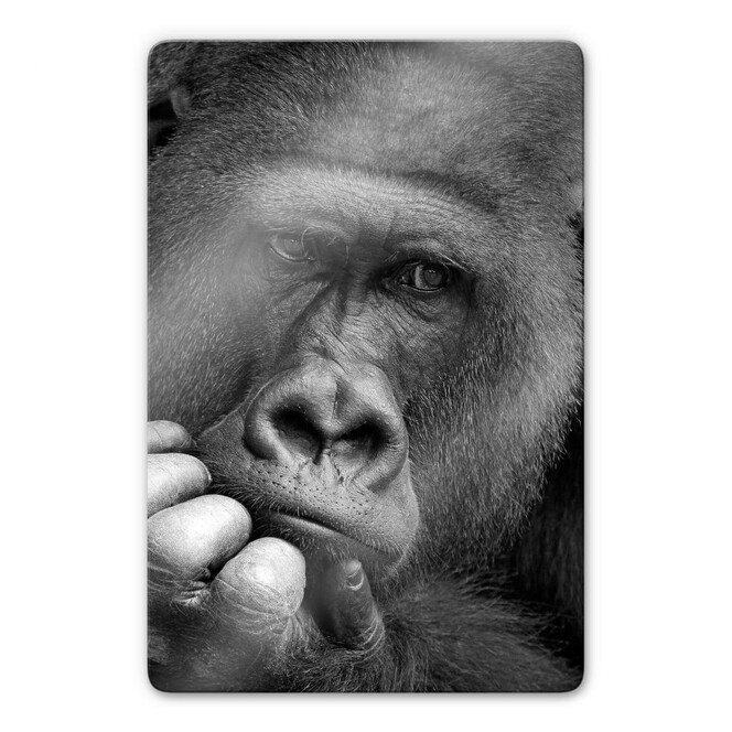 Glasbild Braun - Der Gorilla