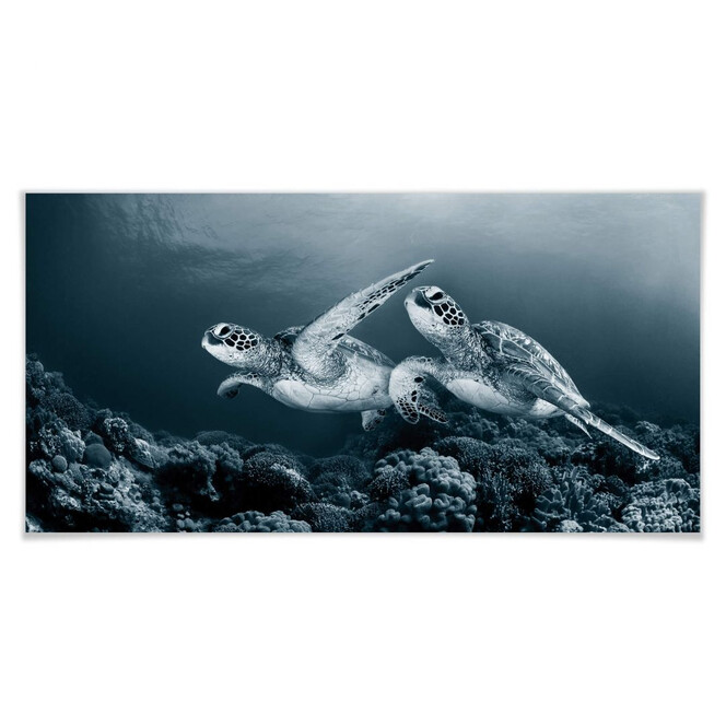 Poster Narchuk - Zwei Schildkröten auf Reisen