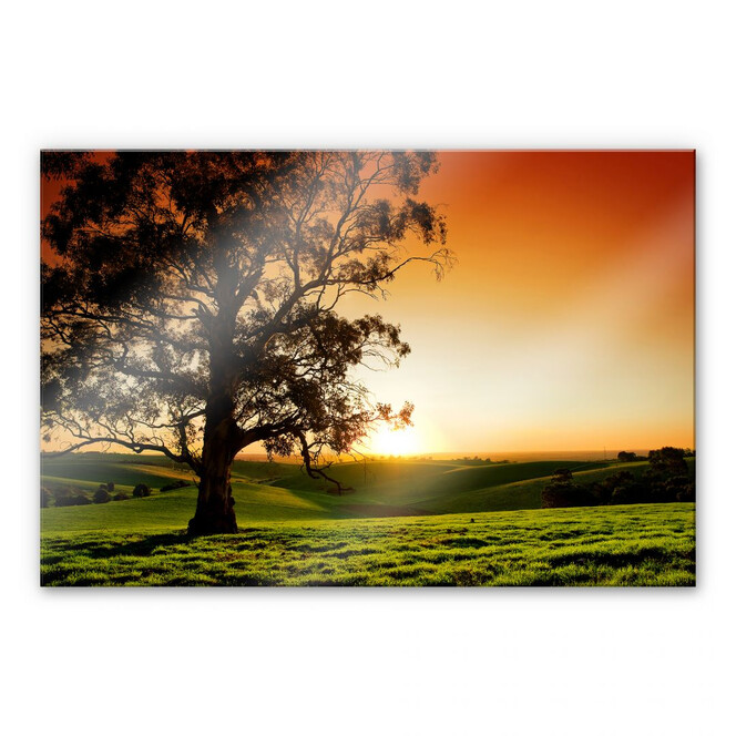 Acrylglasbild Sonnenuntergang über den Hügeln