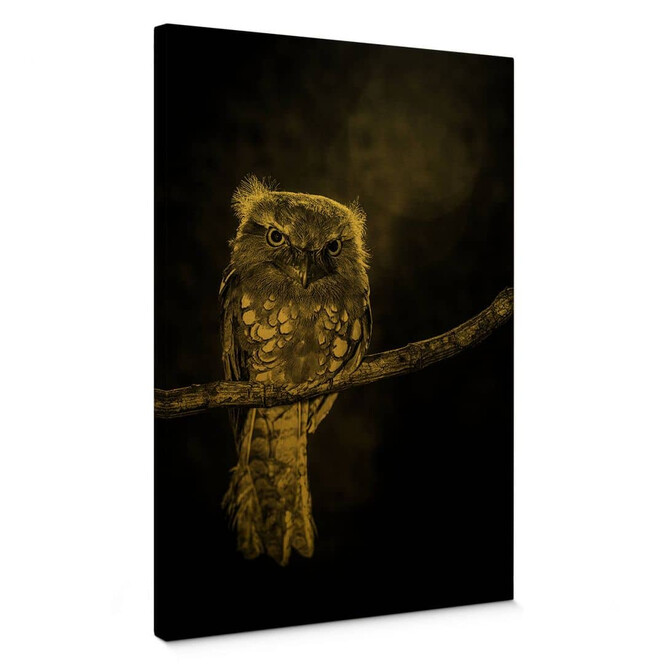 Leinwandbild mit Goldeffekt Wilianto - Staring Owl