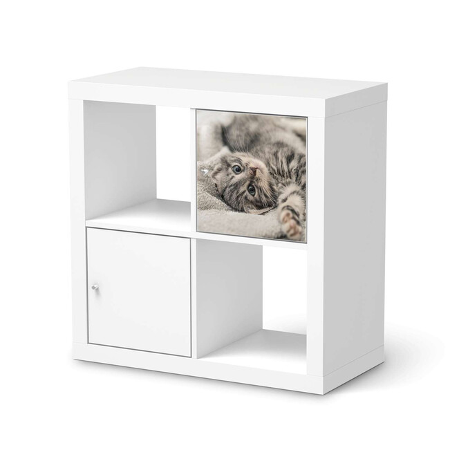 Möbelfolie IKEA Kallax Regal 1 Türe - Kitty the Cat- Bild 1