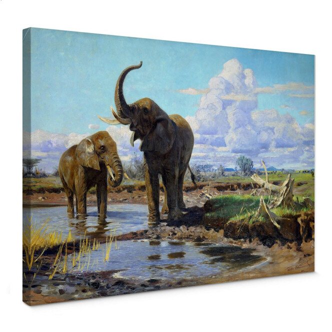 Leinwandbild Kuhnert - Elefanten an der Wasserstelle