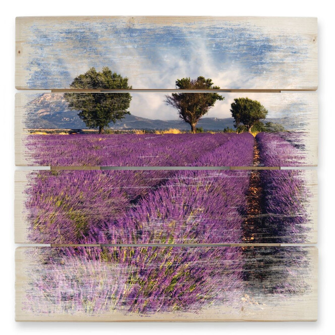 Holzbild Lavendelfeld