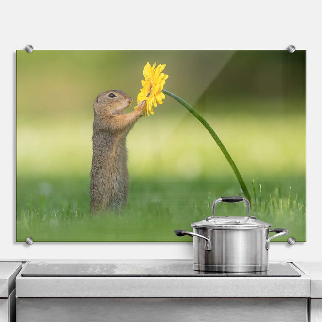 Spritzschutz van Duijn - Erdhörnchen hält Blume