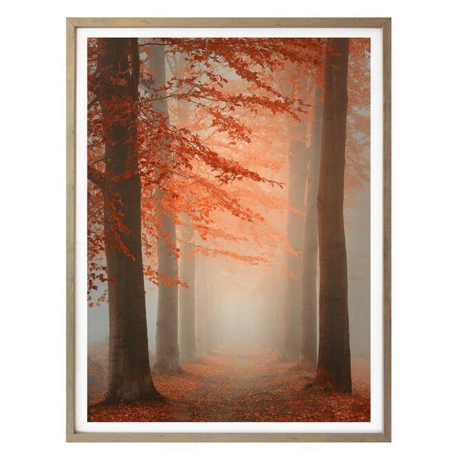 Poster Dingemans - Herbstträume