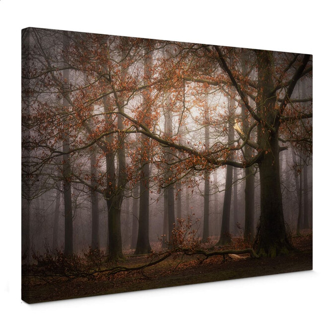 Leinwandbild Dingemans - Nebel im Herbstwald