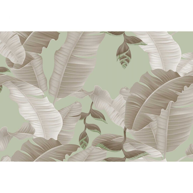 Livingwalls Fototapete ARTist Heliconia mit Palmenblättern grau, grün - Bild 1