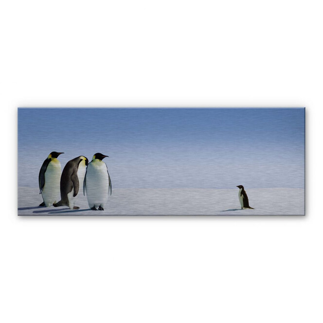 Alu-Dibond Bild Penguin - Panorama