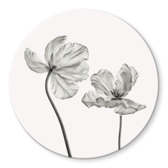Glasbild Grønkjær - Tulpenblüte - Rund