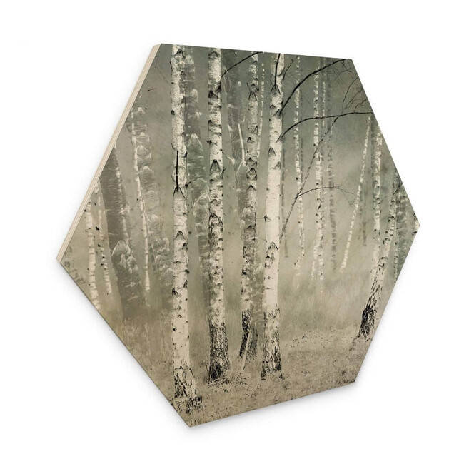 Hexagon - Holz Talen - Morgenruhe