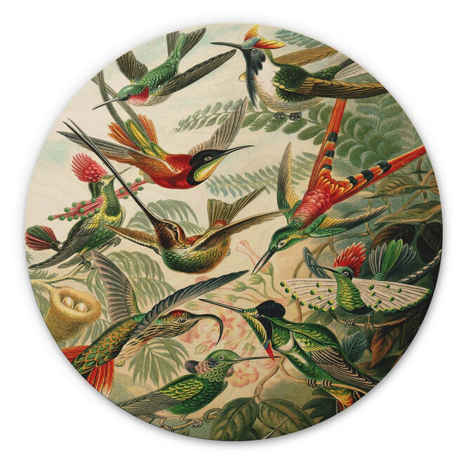 Holzbild Haeckel - Kolibris - Rund