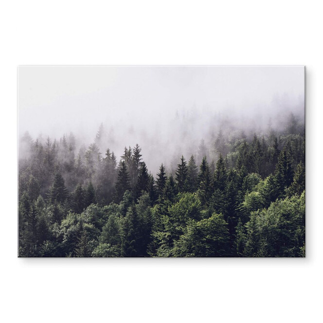Acrylglasbild Nebliger Wald