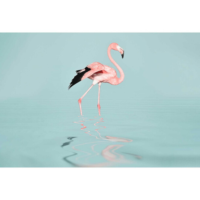 Livingwalls Fototapete ARTist Flamingo Water mit Flamingo rosa, türkis - Bild 1