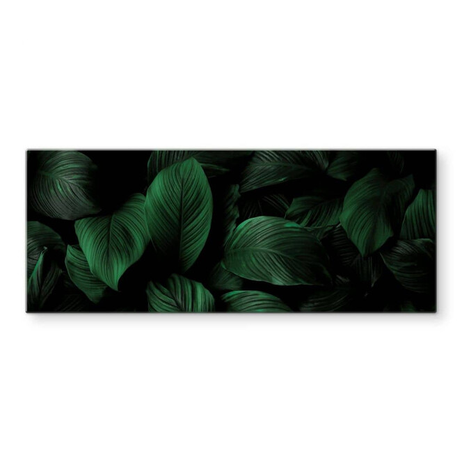 Glasbild Tropische Lilienblätter - Panorama