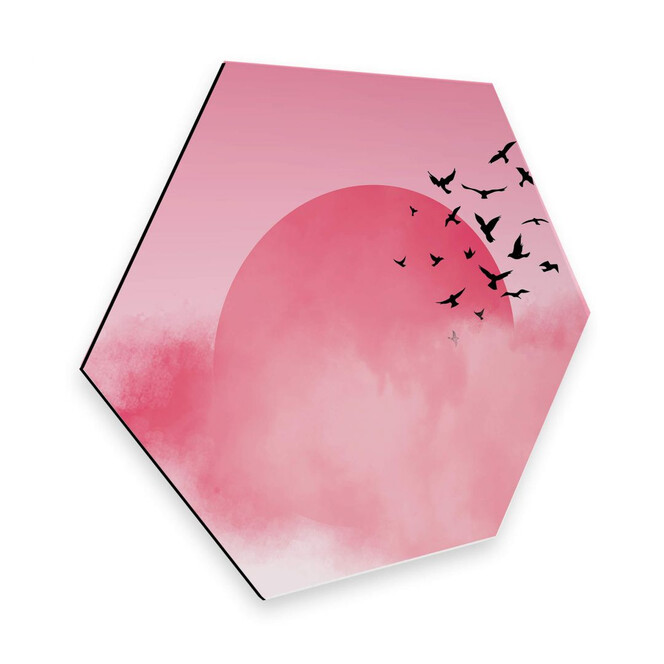 Hexagon - Alu-Dibond Nordic Creators - Pink Sunshine