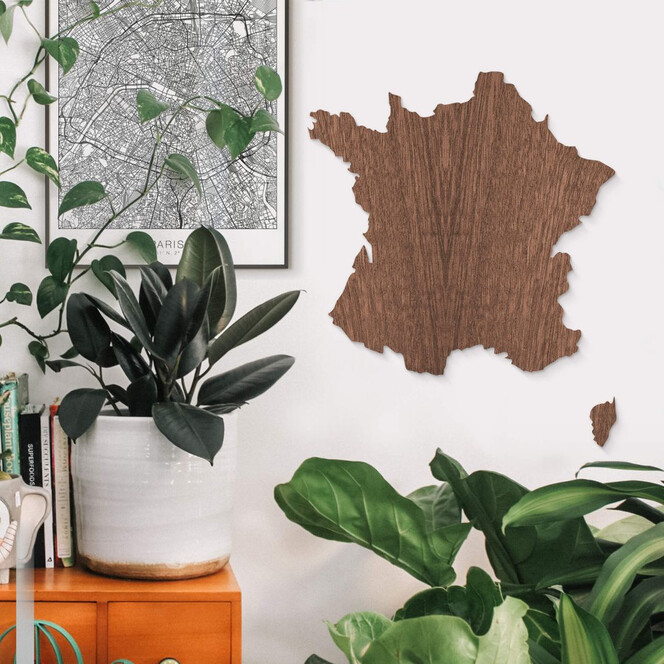 Holzkunst Mahagoni Furnier - Karte Frankreich