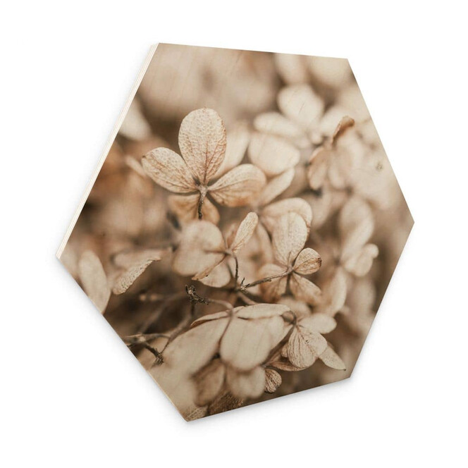 Hexagon - Holz Annie - Samtblüten
