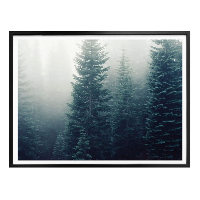 Poster Nebel im Wald