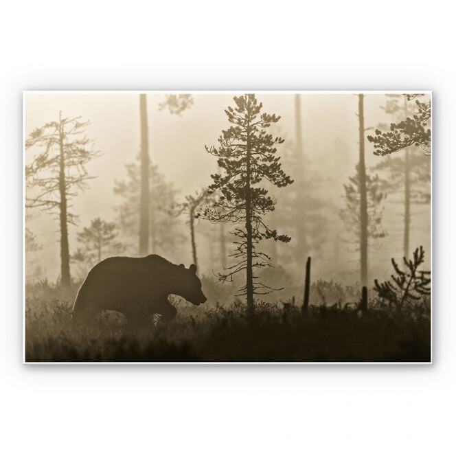 Wandbild Ove Linde - Nebel am Morgen