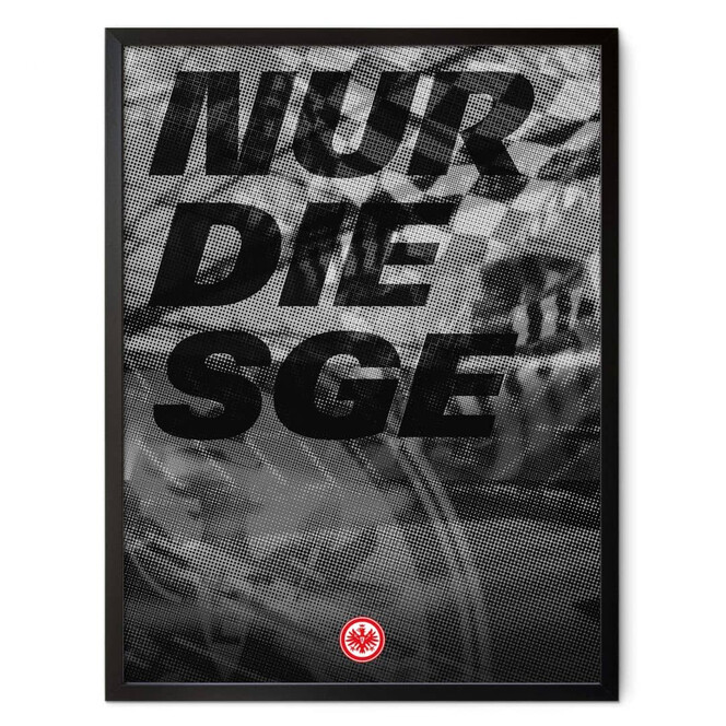 Poster Eintracht Frankfurt - Nur die SGE