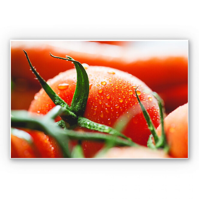 Wandbild Fresh Tomato