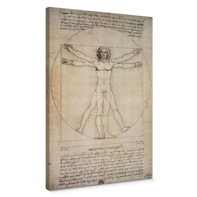 Leinwandbild da Vinci - Proportionszeichnung