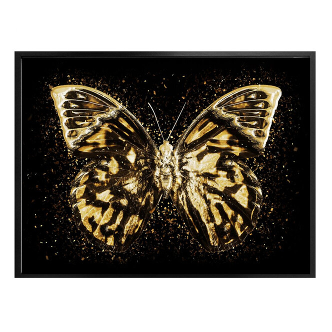 Poster Hugonnard - Goldener Schmetterling