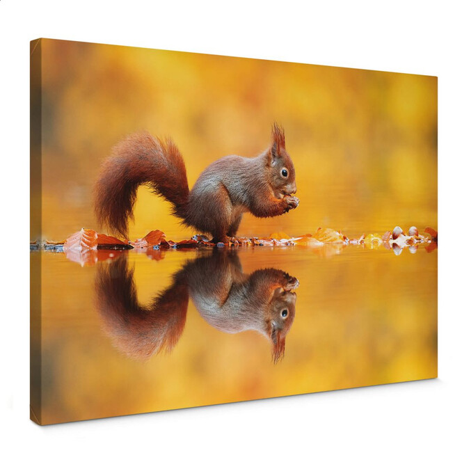 Leinwandbild van Duijn - Eichhörnchen mit Nuss
