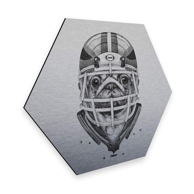 Hexagon - Alu-Dibond-Silbereffekt Kools - American Pug Football