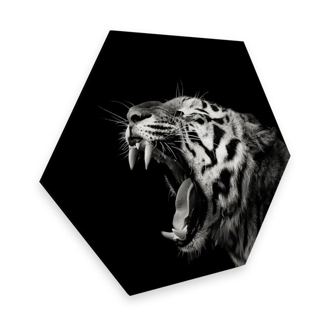 Hexagon - Alu-Dibond Meermann - Der Tiger