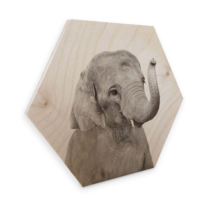 Hexagon - Holz Birke-Furnier Sisi & Seb - Baby Elefant