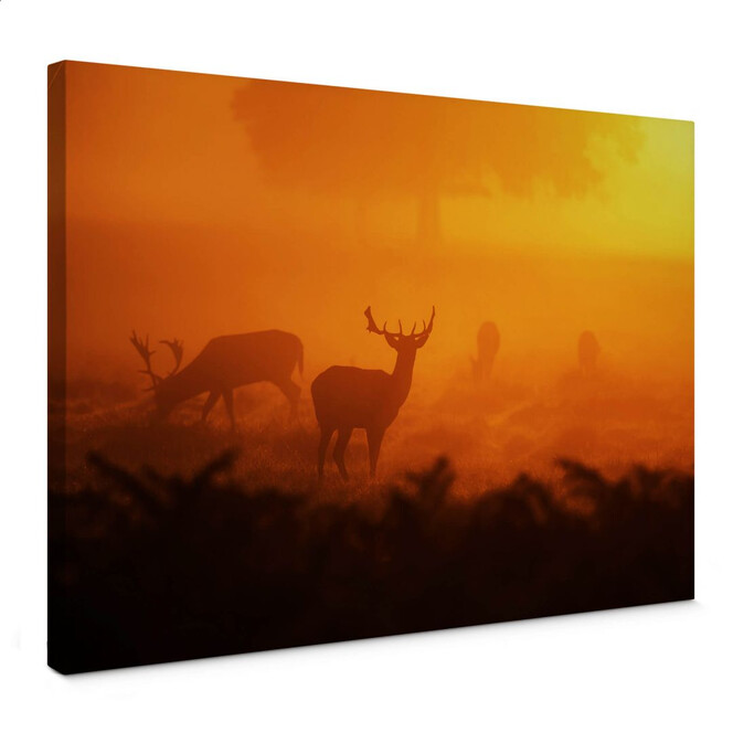 Leinwandbild Hirsche im Sonnenuntergang