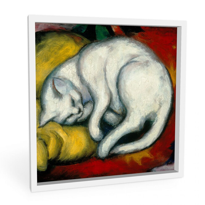 Wandbild Marc - Die weiße Katze - quadratisch