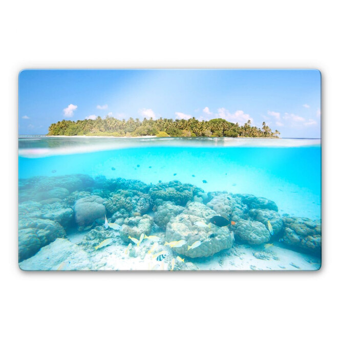 Glasbild Colombo - Unterwasserwelt der Malediven