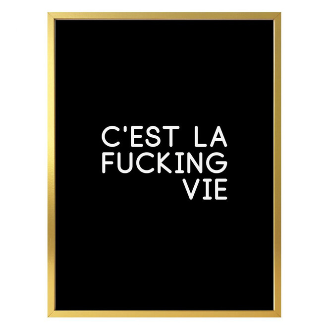 Poster C'est la fucking vie