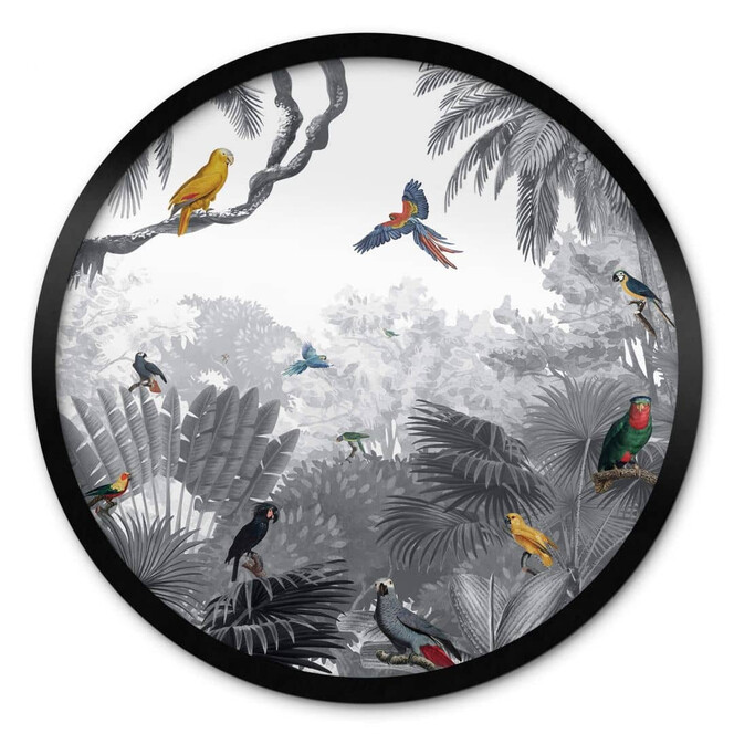 Poster Kikki Belle - Tropische Vögel schwarz-weiss - Rund