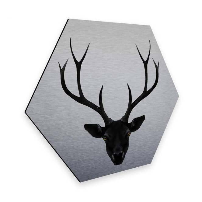 Hexagon - Alu-Dibond-Silbereffekt - Ireland - The Black Deer