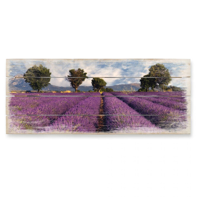 Holzbild Lavendelfeld - Panorama