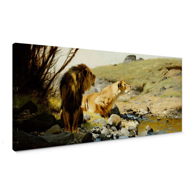 Leinwandbild Kuhnert - Ein Löwe und eine Löwin an einem Bach